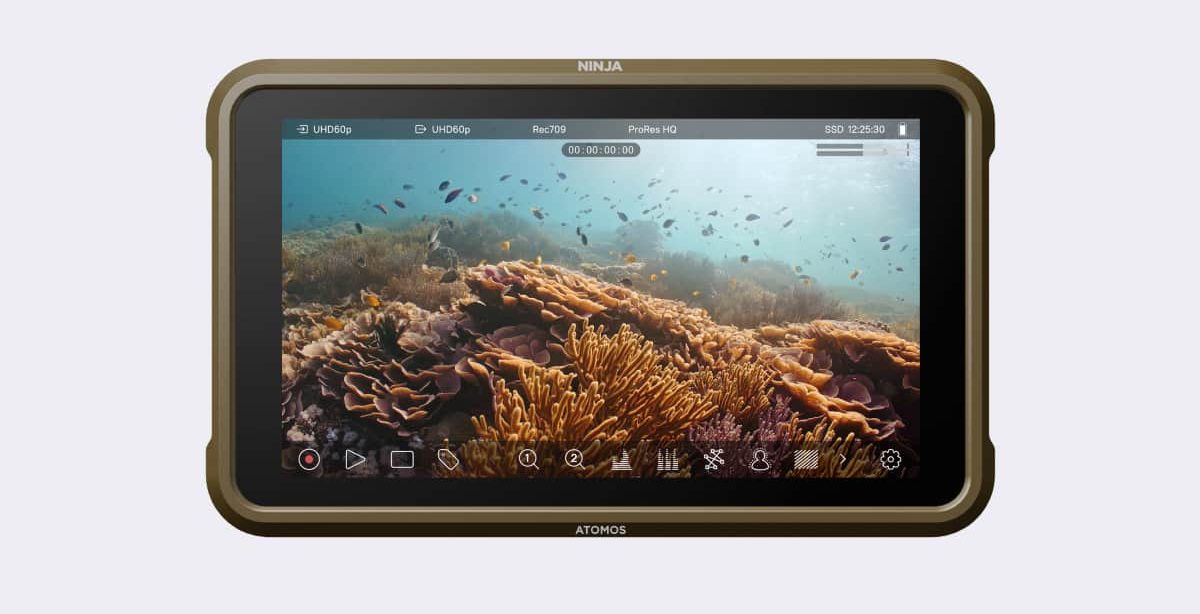 atomos ninja 1