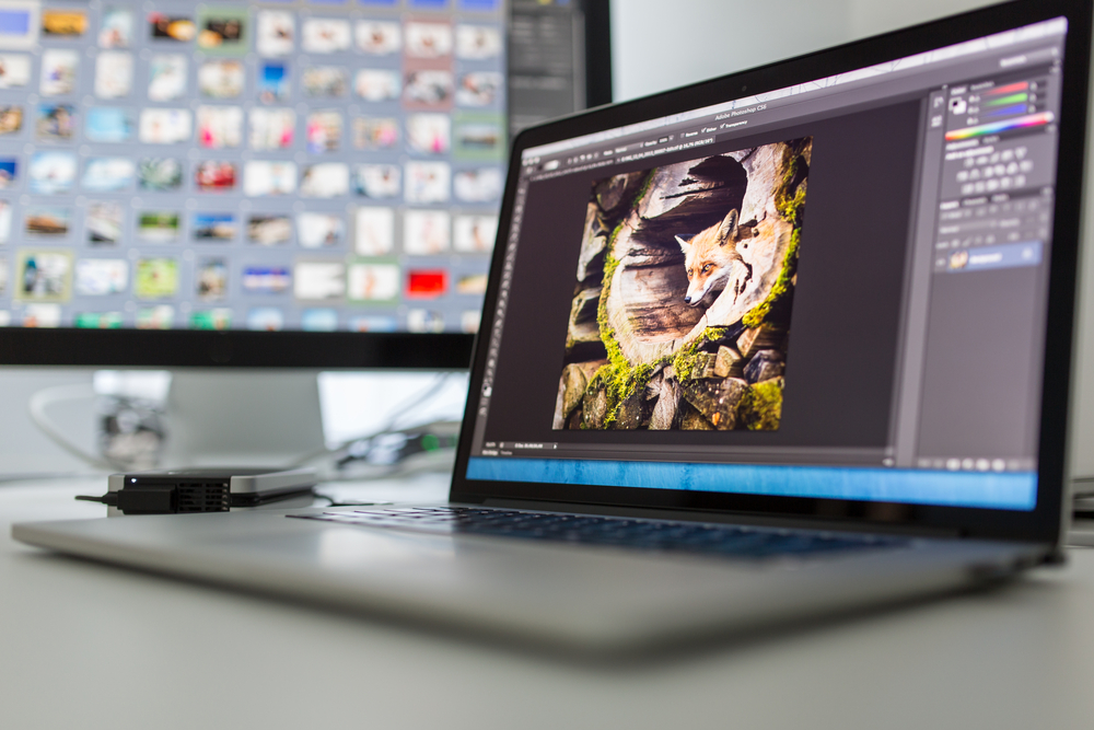 Editing photo of a fox on a computer